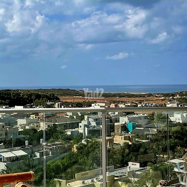 הצוקים 14