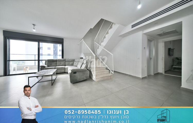 נרקיסים
