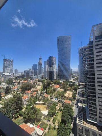 ליאונרדו דה וינצ'י 