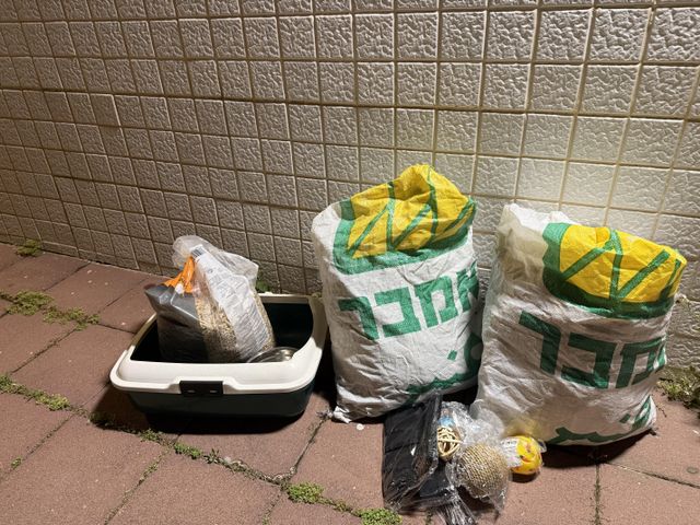 תמונת מודעה - חיות מחמד