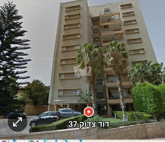 דוד צדוק 37