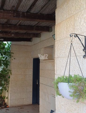התכלת 11