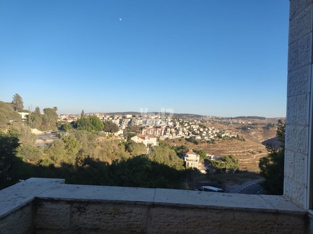 רקפת 14