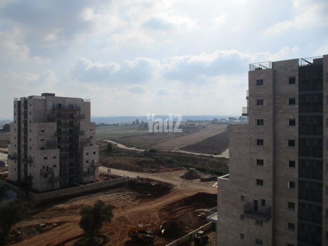 שבט יהודה 4