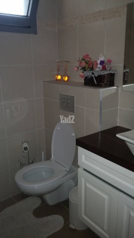 האילנות 7