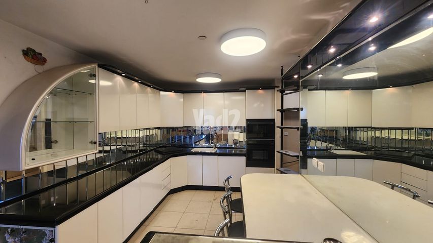 בכור שטרית 13