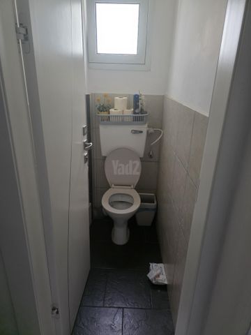 עמיעוז 3
