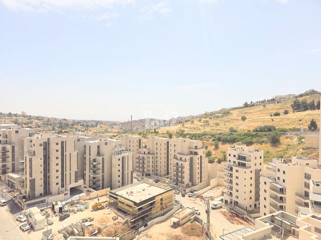 פרופסור יעקב נאמן 1