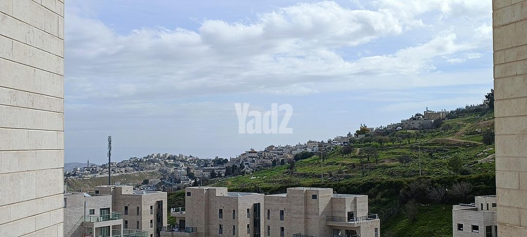 פרופסור יעקב נאמן 1