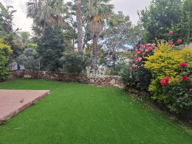 טוסקניני 6