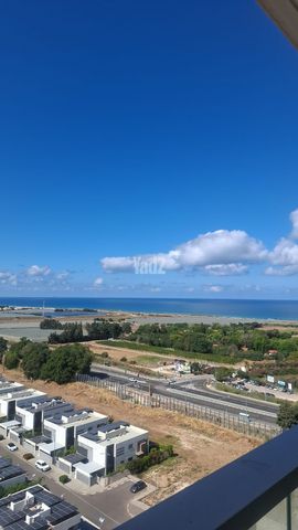 דולפין 1