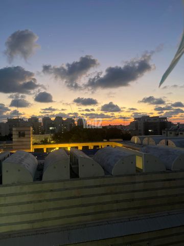 דקל 3