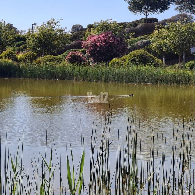 הרב אליהו שרים 3