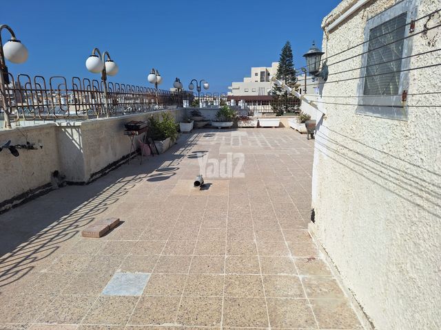 יהודה הלוי 20