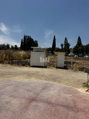 זנוח 1