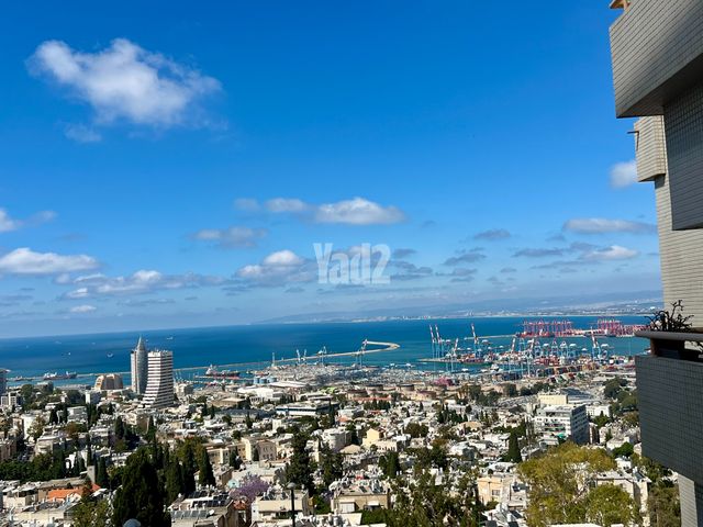 ליאון בלום 