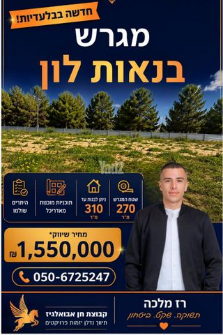 חיים רביב 7