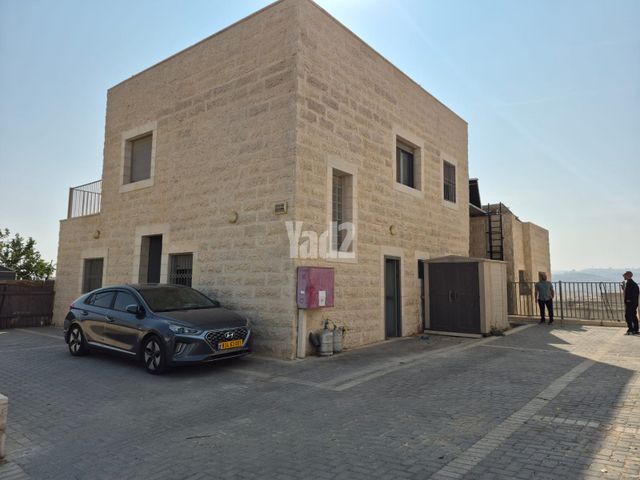 הגפן 