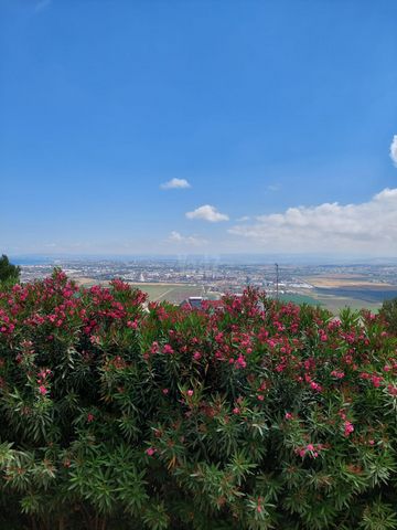 השיקמה 