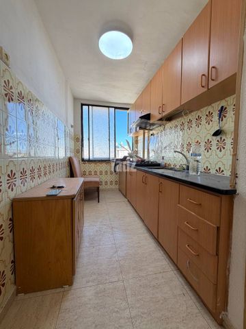 גיורא יוספטל 38