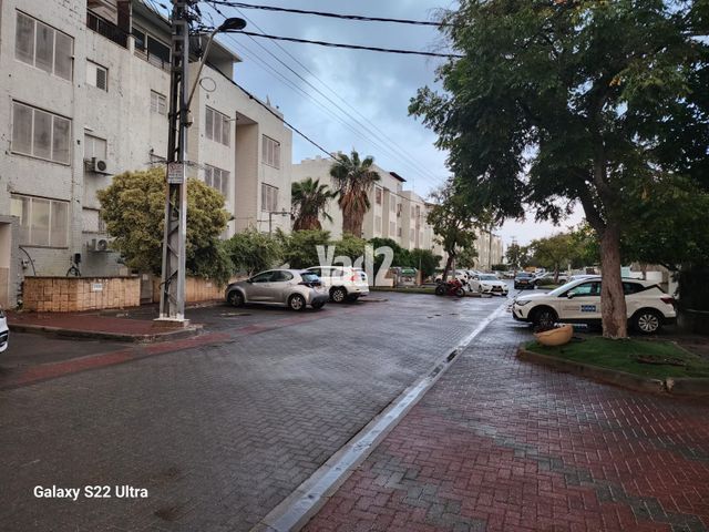 הנהרונית 