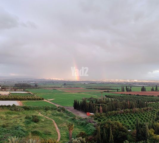 הכרמל