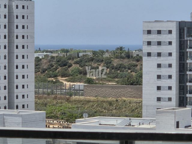 אילות השדה 