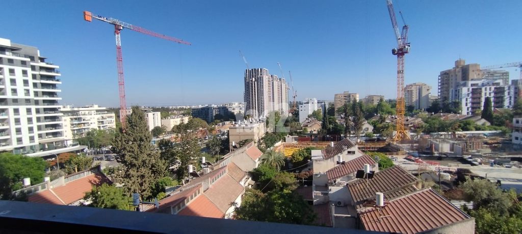 הרימון 