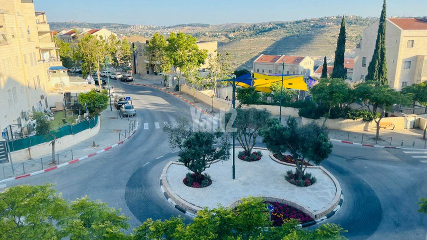 סביון 12