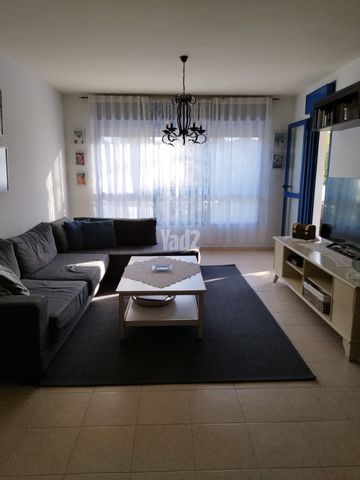 חיים הרצוג 19