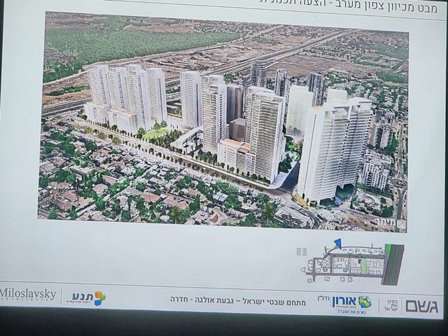 שבטי ישראל 29