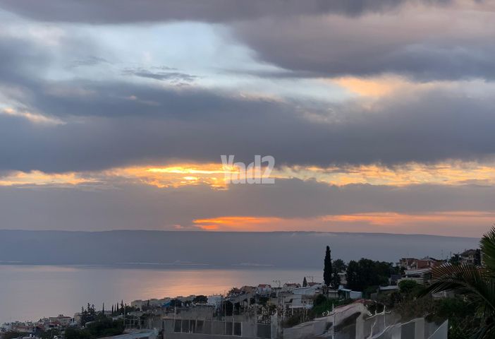 דובדבן 23