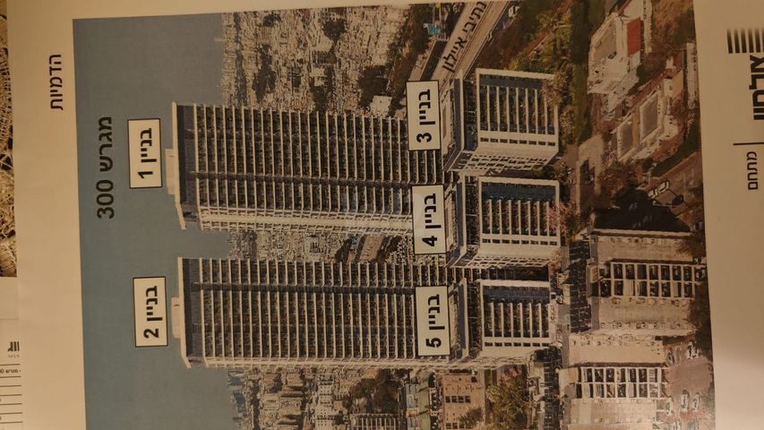 כ"ט בנובמבר 50