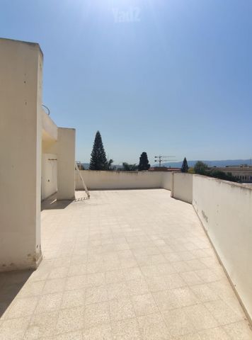 הגפן 6