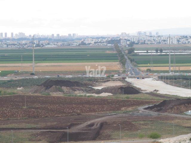הנרקיסים 8