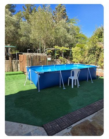 נורית 246