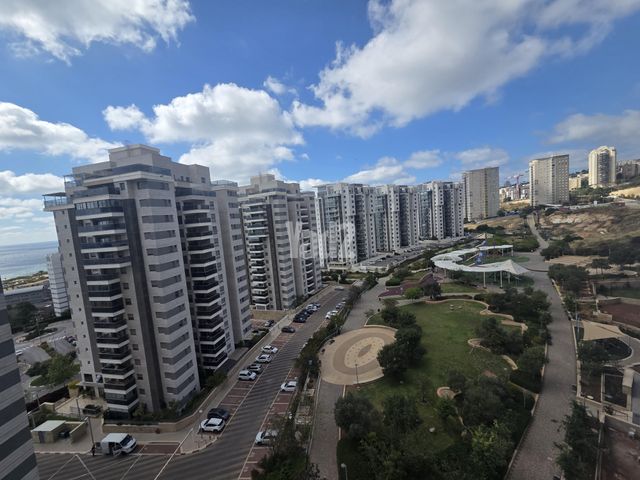 אלמוג 14