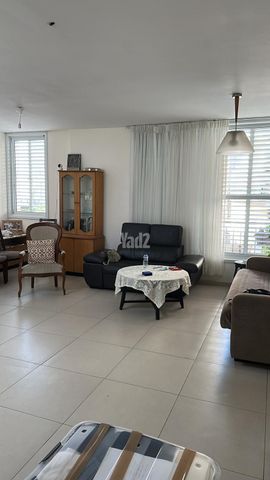 אריה שנקר 76