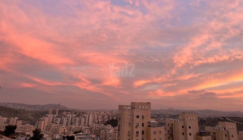 שמעון בן חמו 20