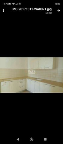 תמר 29