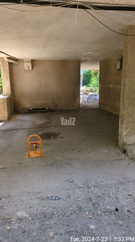 צבי 7