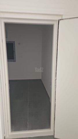פרופסור יעקב נאמן 1
