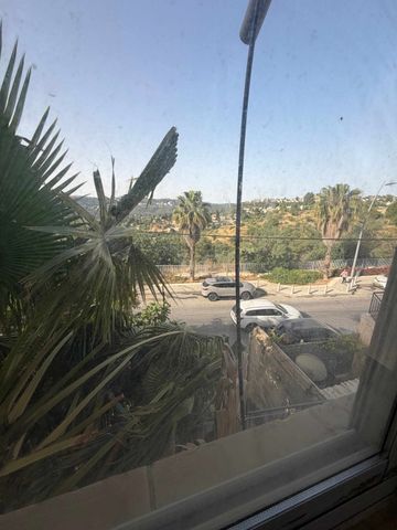 שמעון סוויסה 81