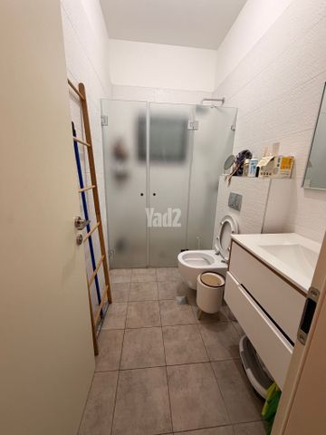 התמר 24