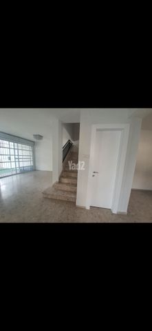 חיננית 20