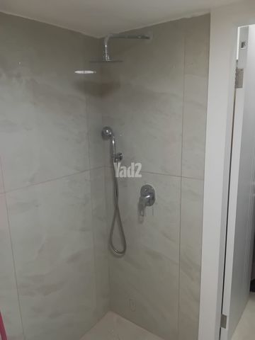 אחד העם 38