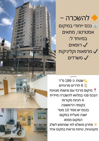 שמחה הולצברג 16