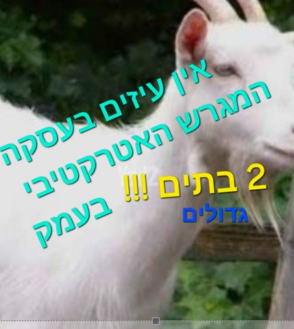 מגרשים, כפר ידידיה