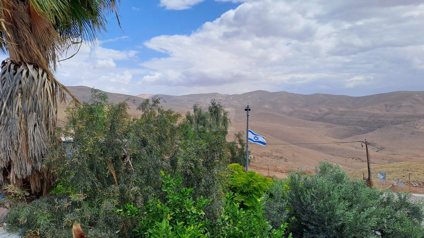 דירה