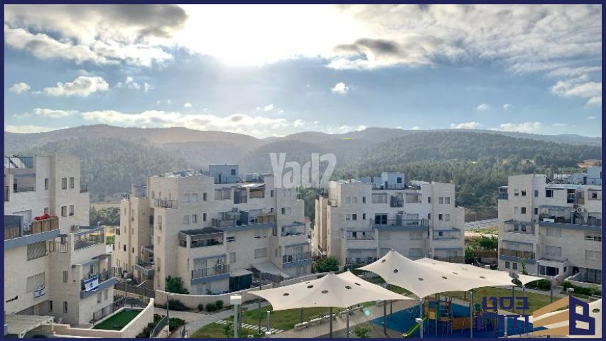 הרב קוק 